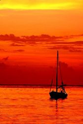 Roatan, Honduras. by Shawn Jackson 